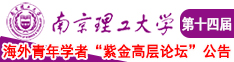 青青操逼了南京理工大学第十四届海外青年学者紫金论坛诚邀海内外英才！